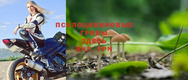 крисы Няндома