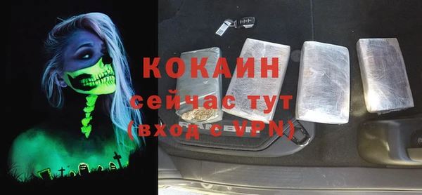 мдпв Новозыбков