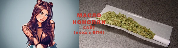 крисы Няндома