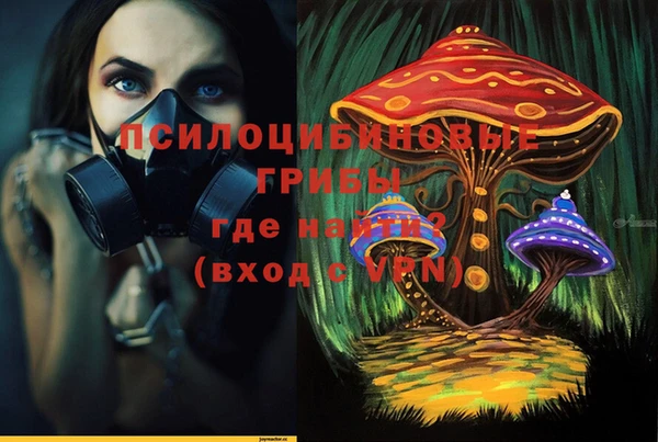 крисы Няндома