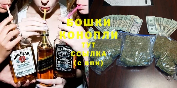 крисы Няндома