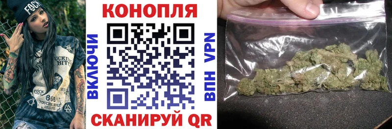 наркота  Бирюч  Канабис план 